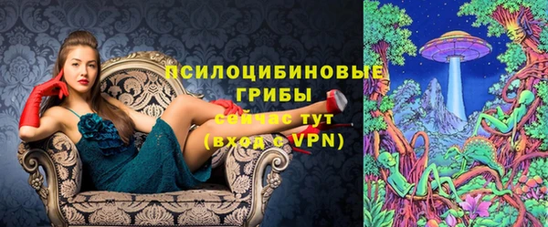 mdma Медвежьегорск