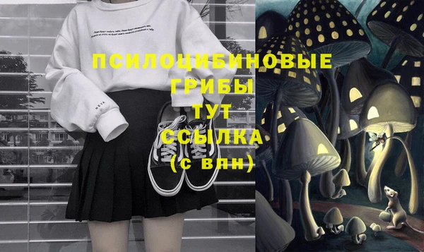 spice Мегион