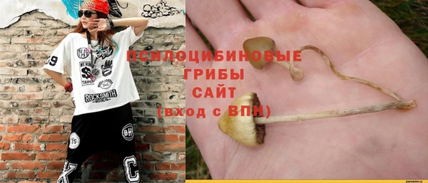 spice Мегион