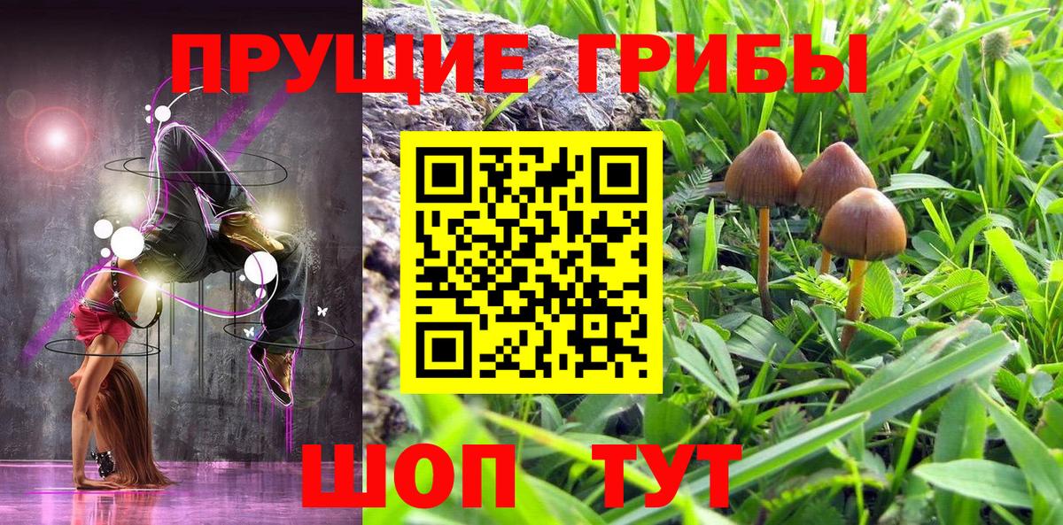 купить   Псилоцибиновые грибы мухоморы  Михайловск  Вход с VPN  Галлюциногенные грибы Cubensis 