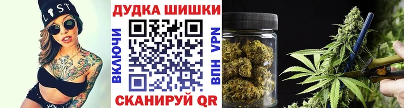Шишки марихуана сатива  Михайловск 